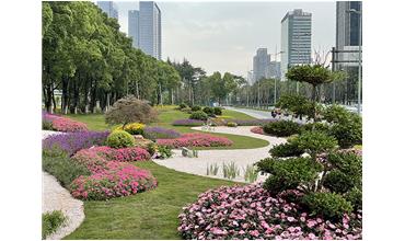 來現(xiàn)場打卡，感受“美麗無錫”的美好